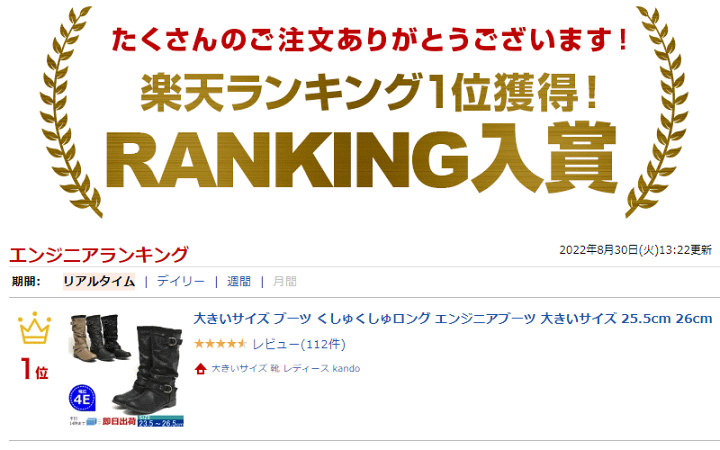未使用　タグ付　KASTLE 幅広　レディース スキーブーツ 25-25.5cm ウィンタースポーツ（スポーツ）検索結果 5ページ目|中古品の