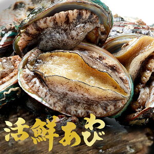 yHށE^L`F[XpBz@N3@Ⓚс@ڈ΂с@BBQ₨hgɍœKI@ƒ₲FlƎyɍHނI@o^[ĂAĂȂǂɂ@]18