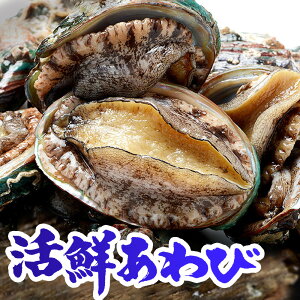 yōNxۏ؁E^L`F[XpBz hg Ⓚ N Ar H 蕨ɂœK BBQEo^[Ă NHi C̍K jp N