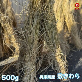 敷きわら　500g(兵庫県産)　マルチング・乾燥防止・装飾用　　『放射能測定済み』