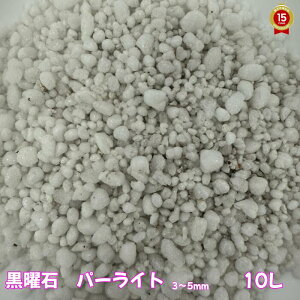 j΁Ep[Cgy10Lz100YE_w˔\ς݁xyYz