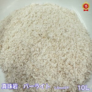 ^Ep[Cgy10Lz@100YE_@w˔\ς݁xsYt