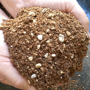 yv͔̍|_Ƃ񐄑Ezu[x[̓y@12L@yyElu[ׂ[͔|ɓK_xɔz܂Bz