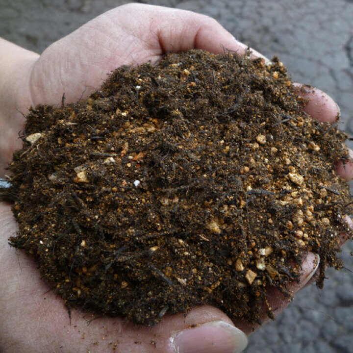 楽天市場 オリーブに最適な弱アルカリ性の土 オリーブの土 １５リットル 大鉢1鉢分 オリーブの島小豆島かららの土 花の土屋さんカネア