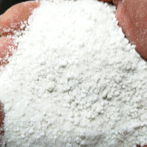 ^Ep[Cg 10L@100YE_@w˔\ς݁xsYt