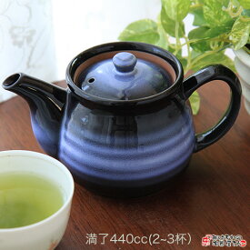 【茶器】オーロラポット（アミ付）（容量440cc） 長湯呑2?3杯 美濃焼 日本製 急須 お茶 きゅうす お茶道具 茶葉 緑茶 お洒落なポット おしゃれ かわいい つぎやすい 茶葉がひろがりやすい