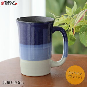 WbL CrAWbL 520cc() a9.7cm 13.5cm d408g Z { AߍׂȂ WOK F _ 蕨 X^CbV r[WbL 500cc