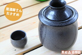 居酒屋さんオススメ 黒結晶酒燗器 おちょこセット 美濃焼 日本製 【ギフト厳選品】 誕生日 父の日 贈り物 敬老の日