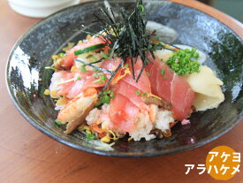 お皿 アケヨアラハケメ75麺皿 そば パスタ 鉄火 刺身 ちらしずし 魚の煮つけ 黒色