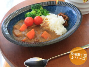 F̐H [C\^ȉ~ J[/J[M/pX^/ 22.5cm×c17.5cm×6.5cm Z/{ aH//T_OK