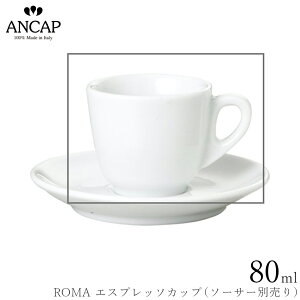 AJbv ANCAPyROMA GXvb\Jbvz\[T[ʔ C^A Ɩp vdl JtF iX R[q[Jbv K㗝X 3300-05051