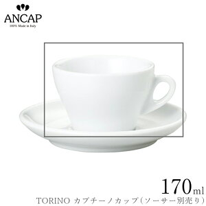 AJbv ANCAPyTORINO Jv`[mJbvz\[T[ʔ C^A Ɩp vdl JtF iX K㗝X 3300-05041