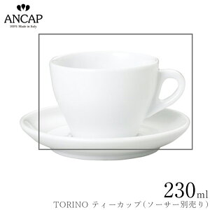AJbv ANCAPyTORINO eB[Jbvz\[T[ʔ C^A Ɩp vdl JtF iX K㗝X 3300-05121