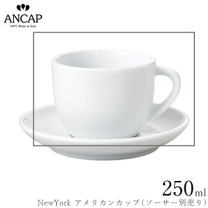 AJbv ANCAPyNewYork AJJbvz\[T[ʔ C^A Ɩp vdl JtF iX K㗝X 3300-03071