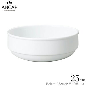 AJbv ANCAPyBelem 25cmT_{[zC^A Ɩp vdl M H K㗝X 3300-0214