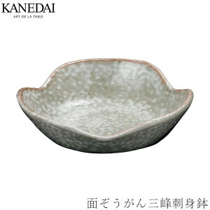 yʂOhgzhg t aH  Ă v[g Ɩp vdl 0459-5009