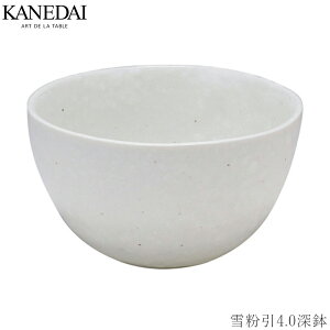 yᕲ4.0[zǂԂ aH  Ă v[g Ɩp vdl 0503-0047