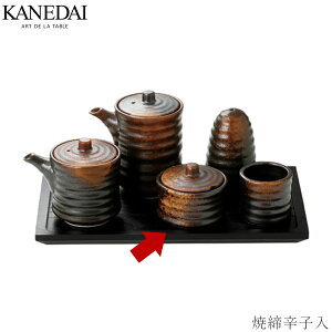 yĒhqzACe aH  Ă Ɩp vdl 0902-0061