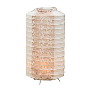 GY(Hideshime) ~ ~ ~j R[hX LED y΁z~   ()