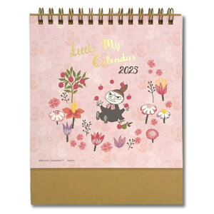 wXeCt 2025N J_[ g~C  M08529 2025N 1n܂