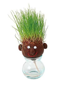 花ごころ 栽培セット hair LABO ヘアラボ ラウンド