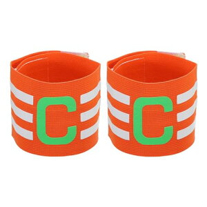 PATIKIL Lver 2Zbg AEghAtbg{[g[jO`[p \ȃGXeBbNTbJ[Lver IW