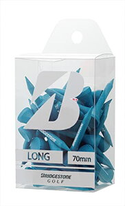 BRIDGESTONE(uaXg) St EbheB[(V[gE43{) GAG302 u[ 2023Nf