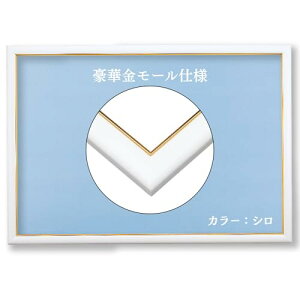 ro[ y{z yǂЂtz ؐS[h[tpYt[ zCg() yUVJbgdl/Hsvz S[h[ؐpl