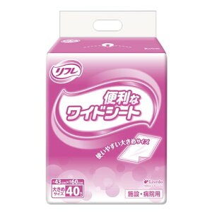 t pV[c ֗ȃChV[g ( 傫߃TCY / 40 ) ĝ g؂( h / Sh / h^Cv )