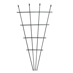 DAIM ���񂷌^�g�����X (����120cm)
