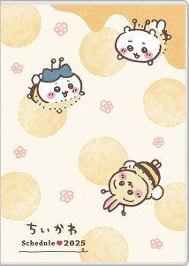 GXJC  2025NXPW[ 2024N12n܂ }X[ b6 CIK-04