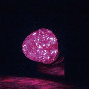 WFbgECmEG(Jet Inoue) LEDX^[CgoX}[J[v([)DC12V/24VpNA[Ydl sN 532