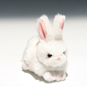 ̂ v`v` A ETM  ʂ 58432