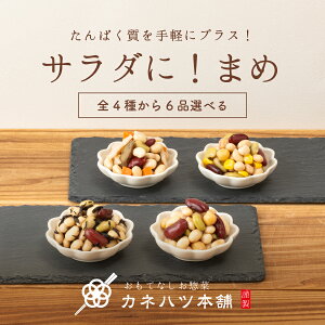 Ԍ 1000~|bL  y؃Zbg T_Zbg ٓ̂ ܂ T_܂ Jlnc 4킩IׂT_ɁI܂6iZbg fޓ ϓ   Zbg l