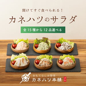 |Cg10{ y  ٓ̂ y؃Zbg T_Zbg 15킩IׂT_12iZbg |egT_ ڂT_ Jlnc Zbg lߍ킹 Mtg v[g 