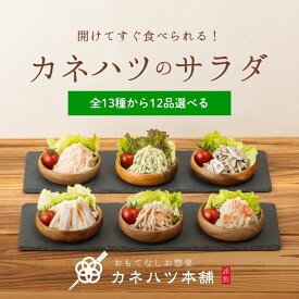 お惣菜 おかず お弁当のおかず お惣菜セット サラダセット 13種から選べるサラダ12品セット ポテトサラダ ごぼうサラダ カネハツ おかずセット 詰め合わせ ギフト プレゼント プチギフト ネット限定 送料無料 人気 お取り寄せ 贈り物 実用的 グルメ お弁当