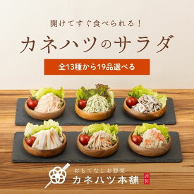 カネハツ 13種から選べるサラダ19品セット おかず おかずセット 詰め合わせ 惣菜 そうざい ギフト プレゼント プチギフト ネット限定 送料無料 人気 お取り寄せ 贈り物 実用的 グルメ お弁当