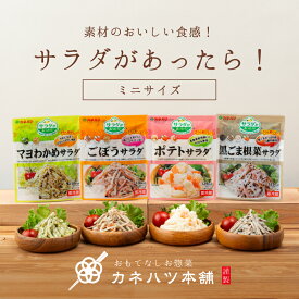 カネハツ サラダがあったら！ミニ 10個セット メーカー直送 ポテトサラダ ごぼうサラダ 黒ごま根菜サラダ マヨわかめサラダ 明太ポテトサラダ ハムマカロニサラダ 蒸し鶏入りごぼうサラダ