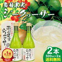 南国果実シークヮーサー 500ml 2本セット シークワーサー ジュース ドリンク 沖縄県産 ビタミンC ビタミンB1 ノビレチン シークワサー シークアーサー シークァーサー シークワシャー シクワサー 水分補給 果汁100％ 原液 ストレート shikuwasa