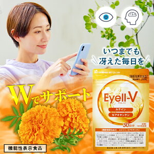 [] Eyell-ViAC[uCj 30i30j @\\Hi @\֗^ eC [ALT` }[S[h Ff ACPA  u[Cg ΍ Fm@\ ӗ vl