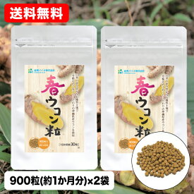 [メール便 送料無料] 春ウコン粒900粒 約30日分 2袋セット 90g 100mg×900粒 春ウコン配合率 95％ 沖縄産 フラボノイド ターメロン カンファ シオネール ミネラル 沖縄県産「春ウコン」 主原料 サプリメント カネヒデ かねひで