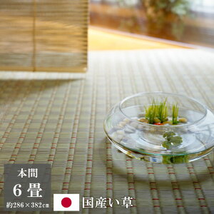 yP2{6ItN[|z286×382cm {6 ō   o[Vu SU O }bg { |D  _ Ă̕~    Ԃ J[ybg  HATUNE 6