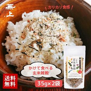  Y  ĎG 邾 35g×2 ӂ肩 Y Ysgp Y a I[g~[   M sv ۑH _CGbg   ngM   ԕ 