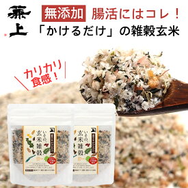 兼上 いその 玄米雑穀 かけるだけ 60g×2袋 無添加ふりかけ 無添加 ふりかけ 国産 和風 和風オートミール 雑穀米 玄米 雑穀玄米 腸活 栄養 健康 調理不要 加熱不要 保存食 ダイエット もちあわ もちきび ハトムギ 発芽 黒米 赤米 送料無料 グルテンフリー カネジョウ mf