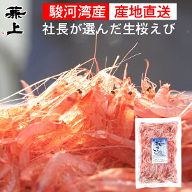 兼上 生桜えび お試し 100g×1袋 由比港水揚げ 駿河湾桜えび 桜えび 桜エビ 桜海老 桜蝦 生桜えび 生桜海老 生桜エビ 生さくらえび 冷凍桜えび かき揚げにオススメ 静岡 駿河湾 由比 国産 お刺身 生 生食 冷凍 冷凍生 送料無料 カネジョウ