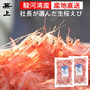 V   100g×2 R`g x͘p Gr CV  CV Gr 炦 gɃIXX É x͘p R Y hg H Ⓚ AX^LT` 