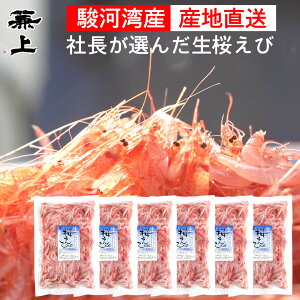 V   100g×6 R`g x͘p Gr CV  CV Gr 炦 gɃIXX É x͘p R Y hg H Ⓚ AX^LT` 