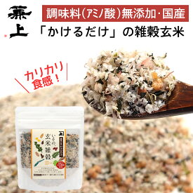 1000円ポッキリ 送料無料 兼上 無添加 いその 玄米雑穀 かけるだけ 60g×1袋 腸活 ふりかけ 無添加 添加物不使用 国産 和風 オートミール 栄養 調理不要 加熱不要 ダイエット ハトムギ 発芽 黒米 赤米 グルテンフリー カルシウム カネジョウ 1,000円ポッキリ！送料無料グルメ