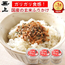 楽天1位 兼上 無添加 ガリガリノ 玄米ふりかけ 48g×3個 カップ スプーン付き 無添加 添加物不使用 国産 ふりかけ 玄米 天然塩 自然塩 天日塩 減塩 ご飯のお供 食育 子育て 子供 栄養 グルテンフリー ミネラル補給 送料無料 カネジョウ