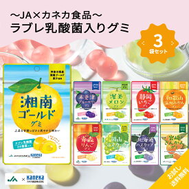 【1000円ぽっきり】グミ ラブレ乳酸菌 入り ご当地 果実 お試し 3袋 セット カネカ食品 JA 全農 湘南ゴールド ブルーベリー メロン いちご みかん りんご マスカット ハスカップ きんかん 1000ポキ 送料無料 ネコポス ポスト投函